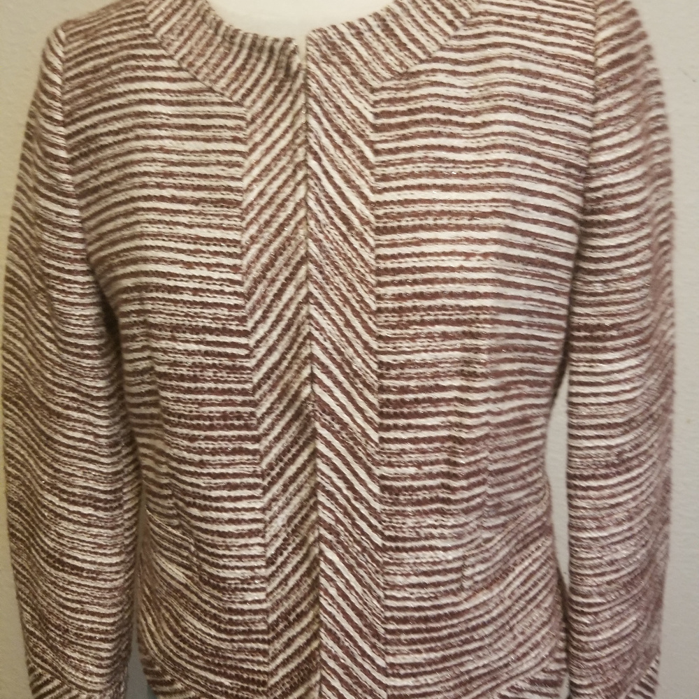 Banana Republic Blazer  1% Metallic Fabric,